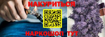 гашик Краснодар