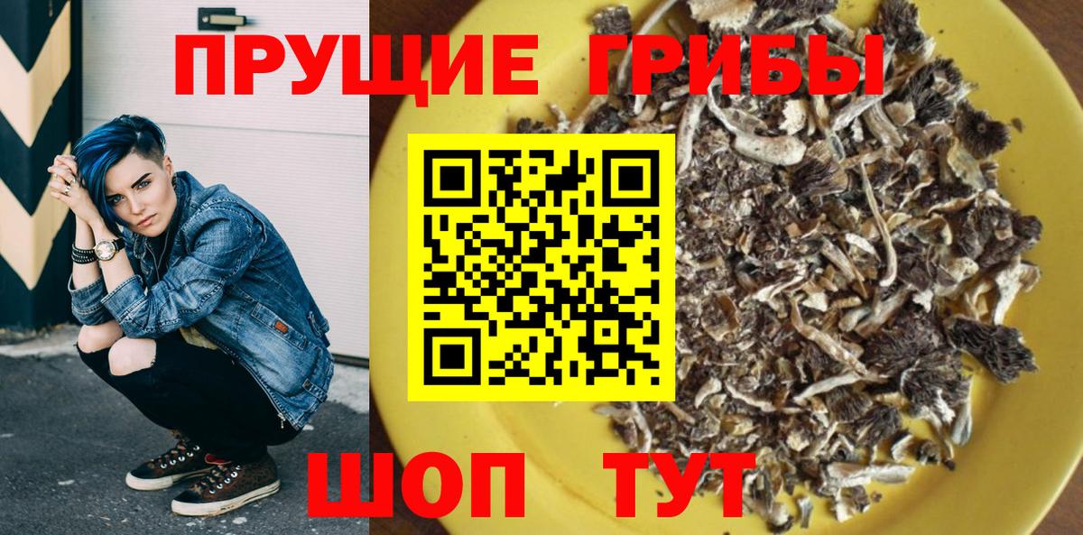 Галлюциногенные грибы GOLDEN TEACHER  Вход с VPN  Корсаков 