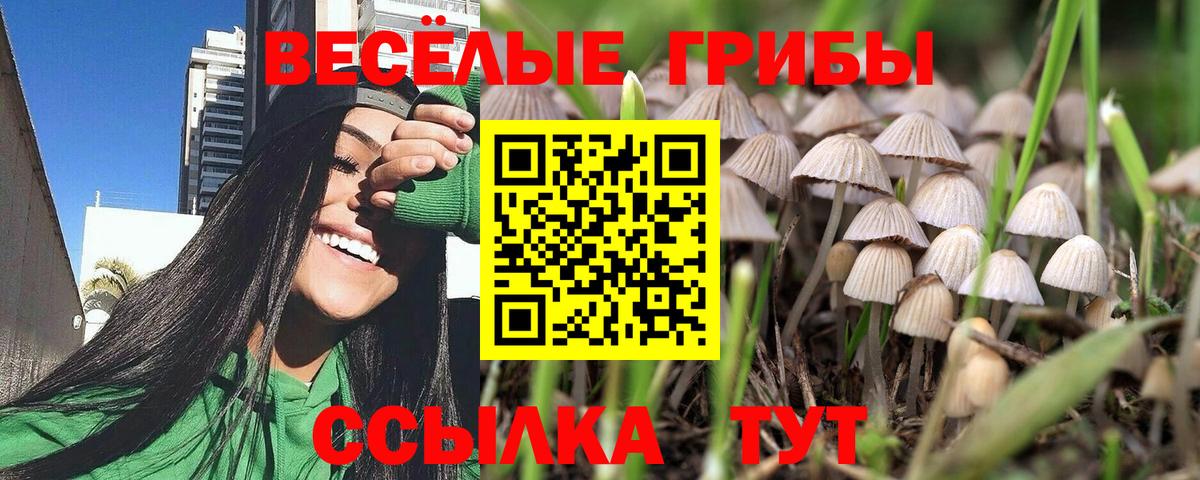 Псилоцибиновые грибы прущие грибы Корсаков