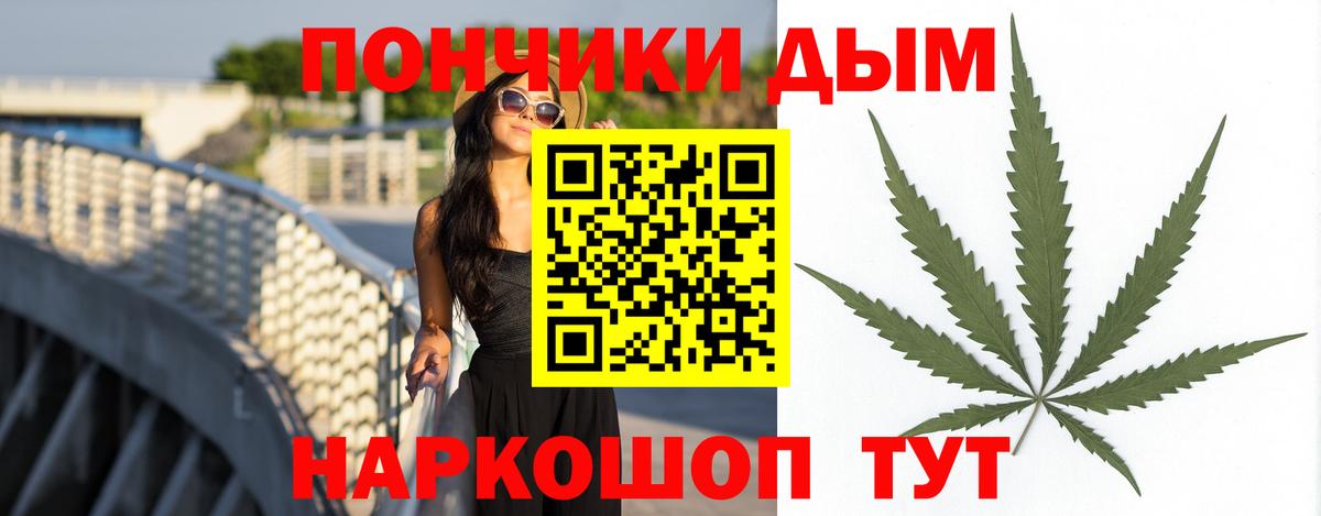 Шишки марихуана семена Корсаков